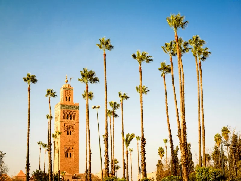 Marrakech : les principaux candidats en lice dans la bataille électorale pour la mairie