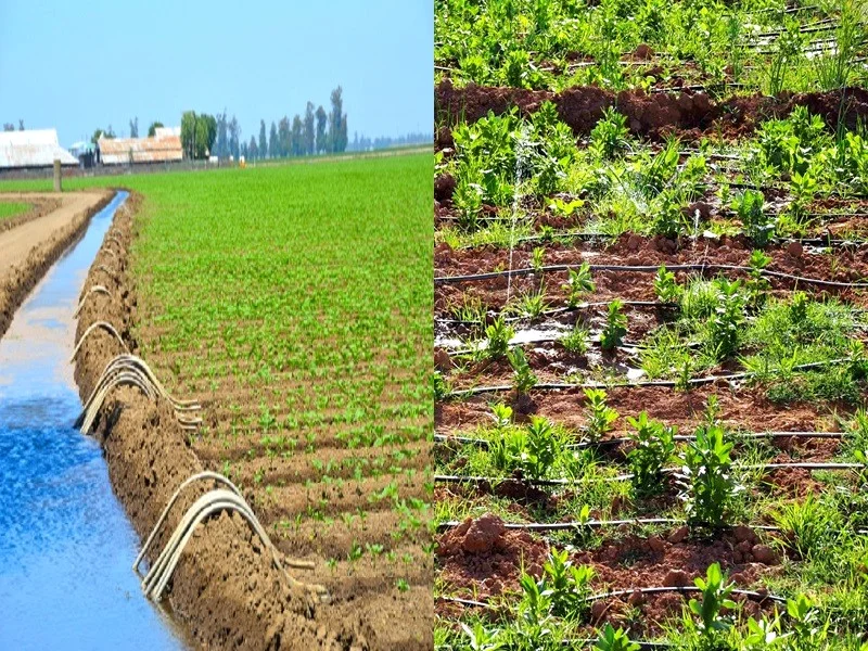 Crise de sécheresse met en péril le secteur de l'irrigation : 10% des entreprises déjà contraintes à la fermeture