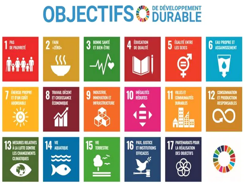 ODD : Onze universités marocaines dans le Times higher Education impact ranking