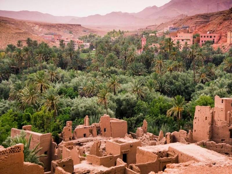 Le 6ème Forum international des oasis se déroule à Zagora