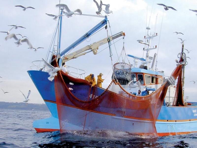 Pêche. De nouvelles règles pour le renouvellement des autorisations