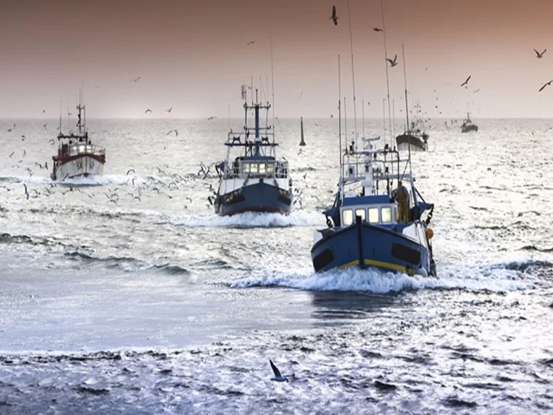 Formation en pêche maritime : un programme pour l’insertion des détenus au Maroc