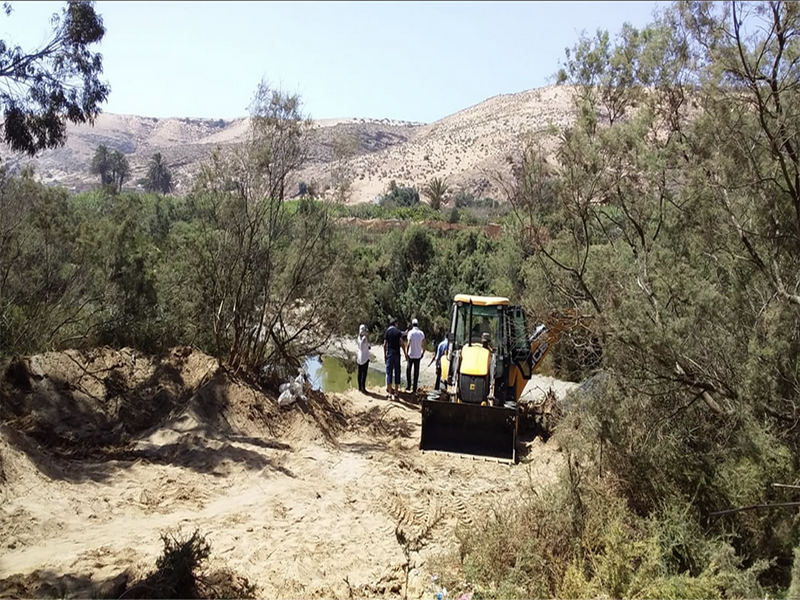 Oued Massa. Pourquoi les poissons meurent ? 