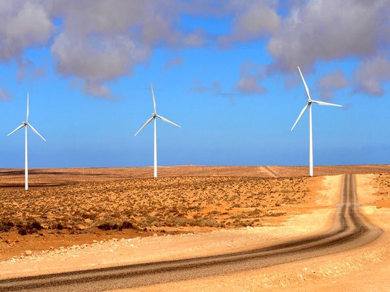 Éoliennes au Sahara : Le Polisario vent debout contre Siemens