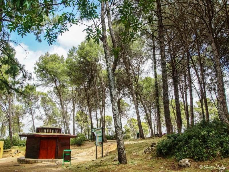 Projet de création d’un parc naturel à Meknès 