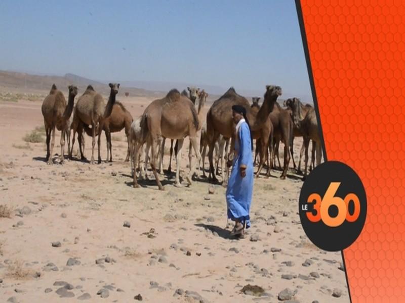 Vidéo. Sahara: les habitants d'Assa-Zag répondent aux provocations du Polisario 