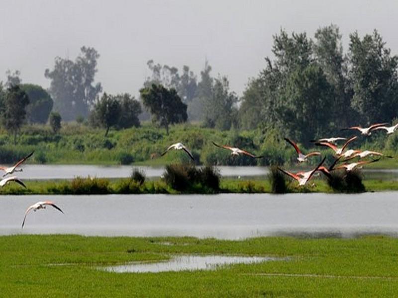 La moitié des sites naturels classés par l'Unesco menacés