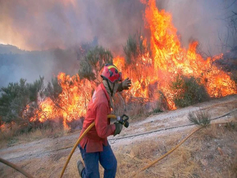 #Lutte_contre_les_incendies : Une nouvelle stratégie nationale