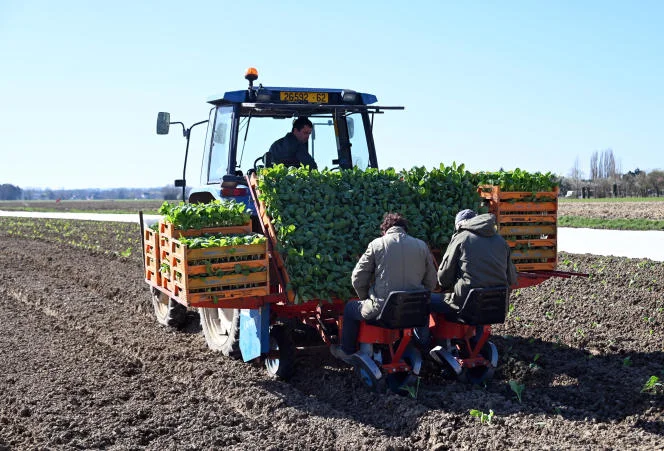 La France a encore perdu 100 000 agriculteurs en dix ans