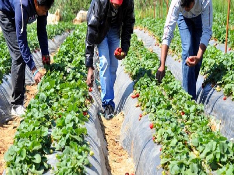 Petits agriculteurs : Les premières mesures