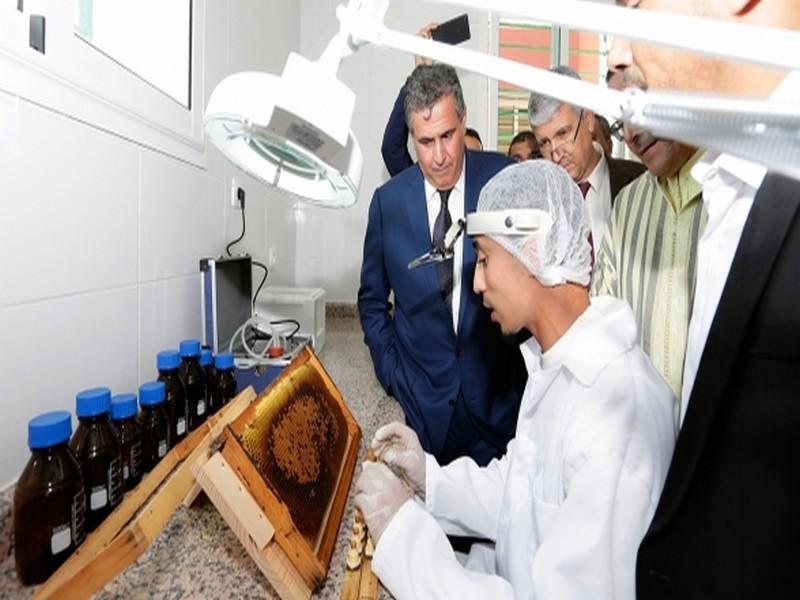 Diapo. Akhannouch visite plusieurs sites du grand projet de réhabilitation de l'arganeraie du Maroc