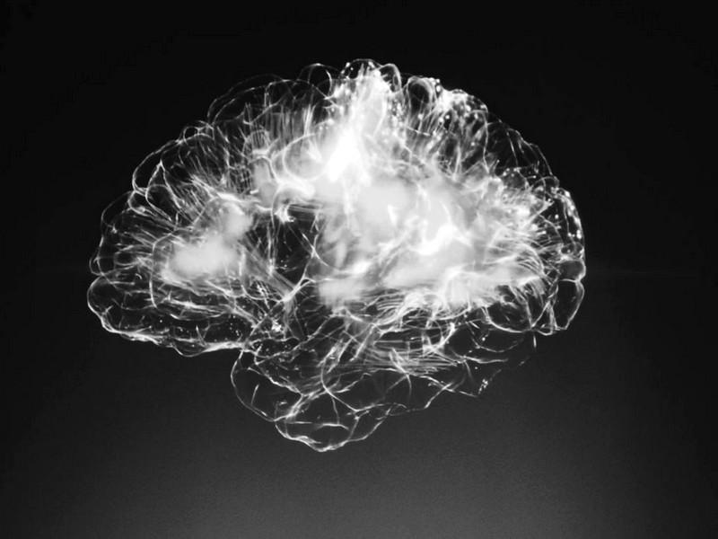 L’intestin : Clé de notre santé mentale ?