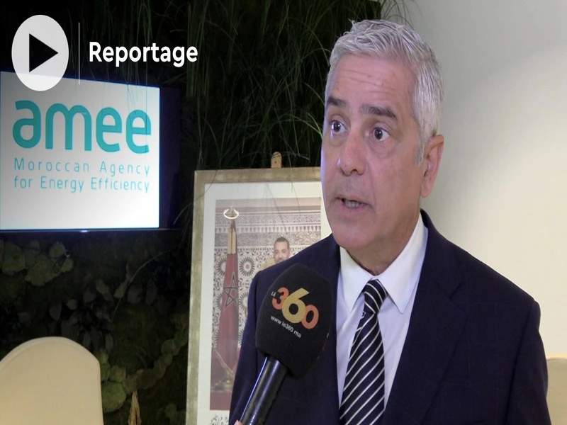 Stratégie nationale pour le développement durable: tour d'horizon avec Saïd Mouline, directeur général de l’AMEE 