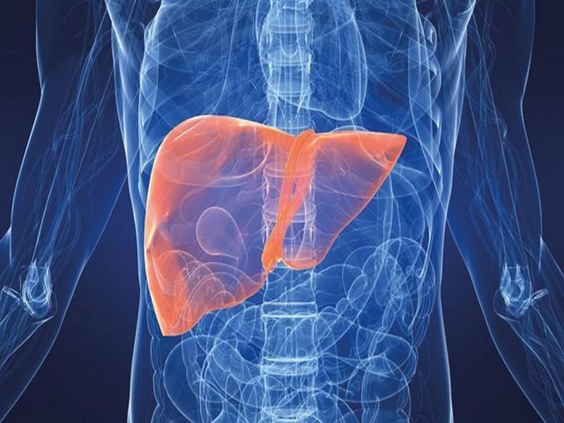 Pharma 5: Un générique 100% marocain pour le traitement de l’hépatite B