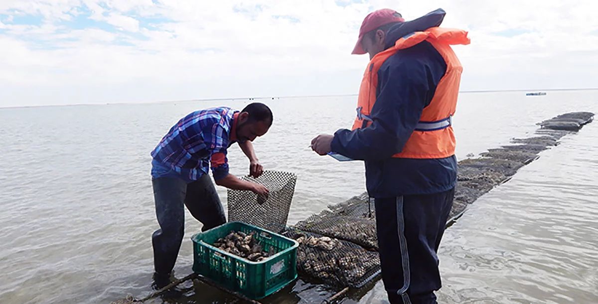 Maroc. Du renfort pour l’aquaculture