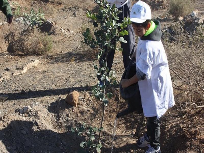 Le Maroc plante plus d'un million d'arbres en une journée