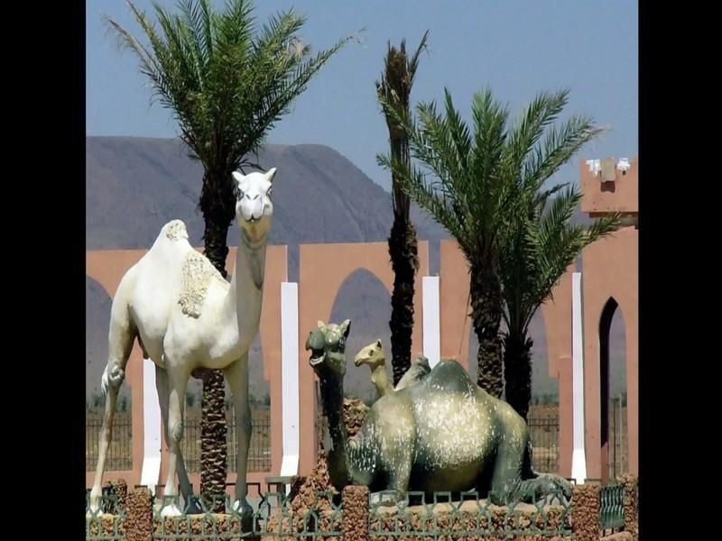 En vidéo : Assa Zag une province de Guelmim-Oued-Noun