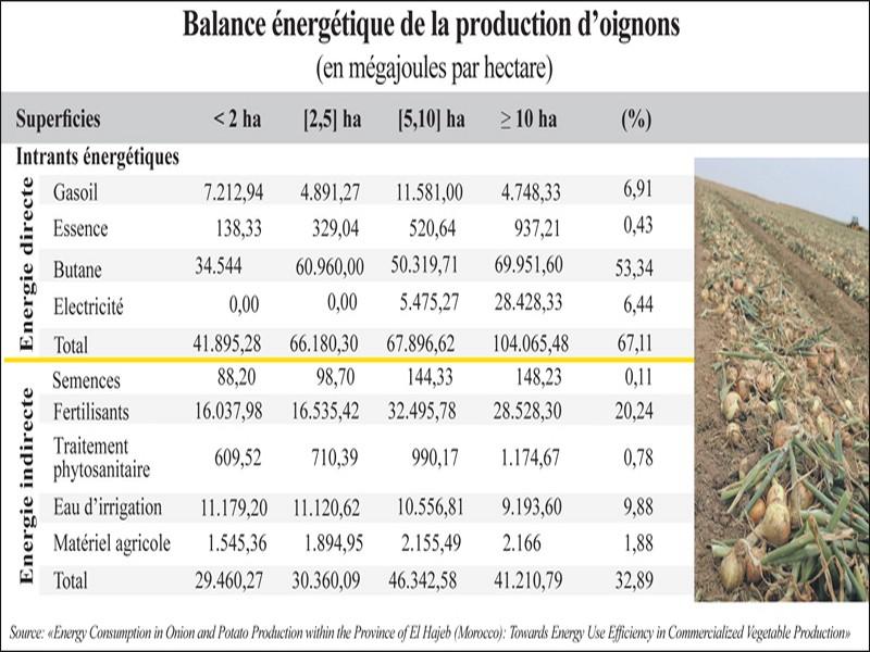 Agriculture: Que c’est tentant le butane!