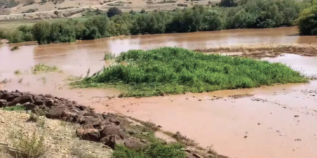 Dévastation après les intempéries/Sebou : Les inondations du barrage Allal El Fassi causent des pertes agricoles et des dommages considérables