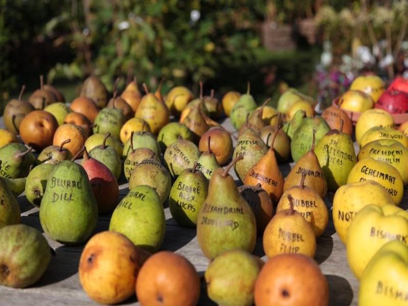 L’effondrement de la biodiversité met en péril l’alimentation mondiale