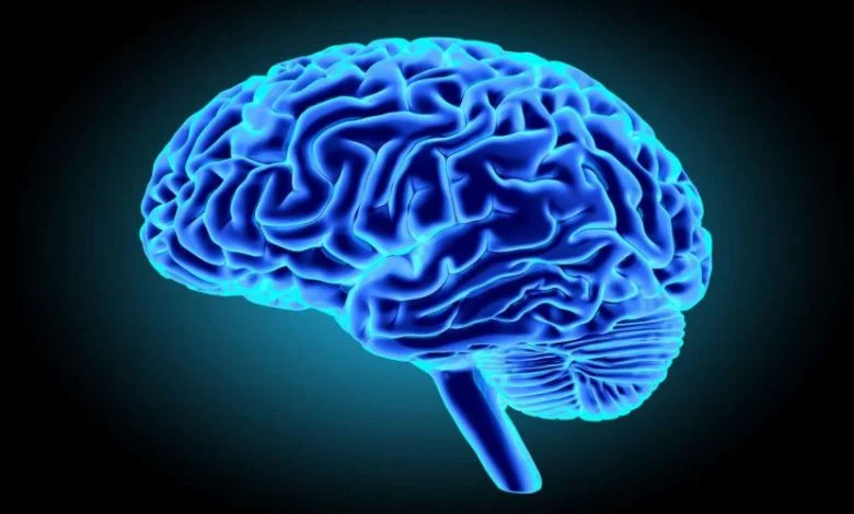 Les pires aliments pour votre cerveau