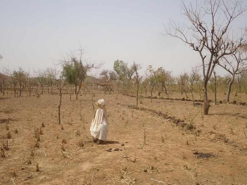 Le Comité de pilotage de la COP22 dénonce les