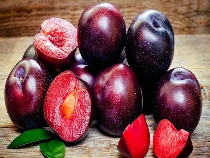 Le Maroc devient le 9ème producteur de prunes et prunelles au monde