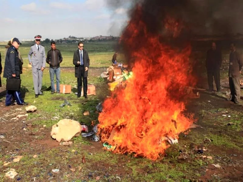 Dakhla : près de 14 tonnes de drogues brûlées