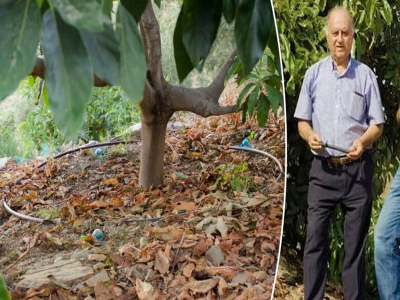Un inventeur de 82 ans dévoile un arrosage innovant pour réduire de 70% l’utilisation d’eau pour les cultures