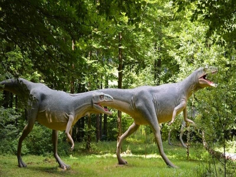 #MAROC_CASABLANCA_DINOSAURE: Des restes d’un dinosaure découverts à proximité de Casablanca