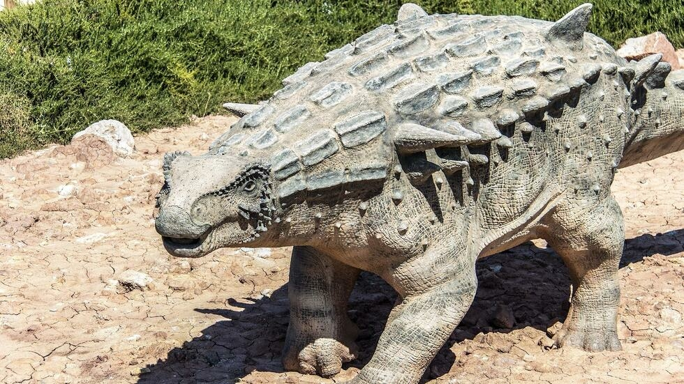 #Maroc_Archeologie_Paleontologie:: Découverte d'un fossile d'ankylosaure vieux de 168 millions d'années