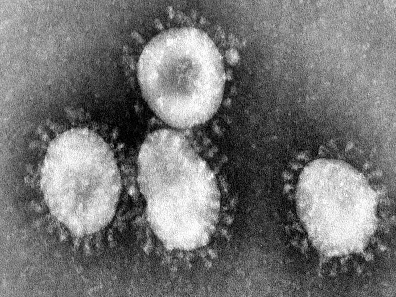 Virus en Chine : la transmission entre humains n'est « pas exclue », des cas détectés en Thaïlande et au Japon