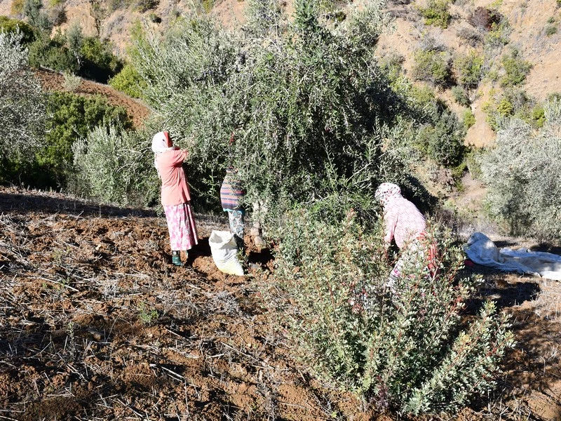 Registre national agricole : le projet de loi adopté à la Chambre des Représentants