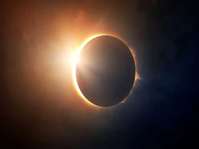 Les changements de comportement des animaux lors des éclipses solaires
