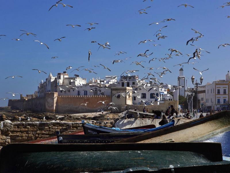 Cinco Dias : Essaouira, véritable joyau de la côte atlantique du Maroc 