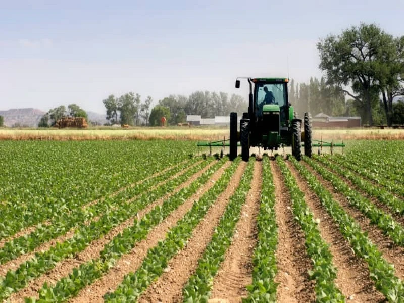 Maroc : le fisc aux trousses des agriculteurs