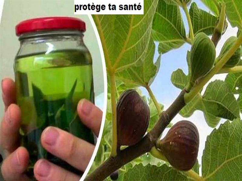 Vous pouvez dire adieu au diabète, le cholestérol, les triglycérides et les ulcères grâce aux avantages de ce fruit et ses feuilles!