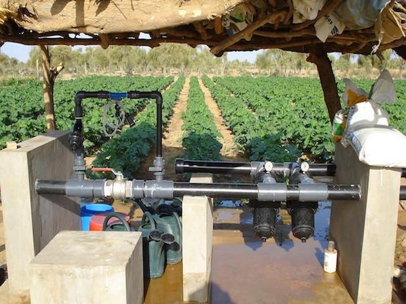 L'objectif en matière d'irrigation au goutte-à-goutte atteint dès cette année!