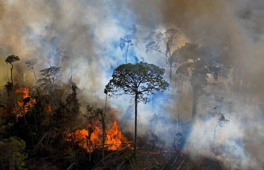 Une grande partie de la forêt amazonienne émet maintenant plus de CO2 qu’elle n’en absorbe