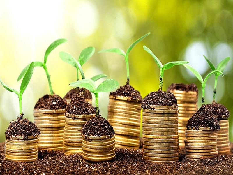 Green bonds : L’AMMC lance son guide