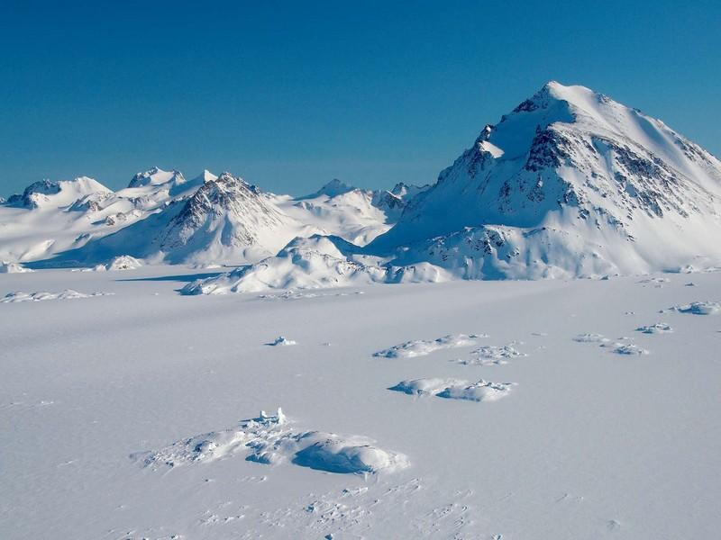 #GROENLAND_RECHAUFFEMENT_CLIMATIQUE_PRESENCE_PLANTES_SOUS_GLACE Stupéfaction chez les scientifiques avec la découverte de plantes sous la glace au Groenland