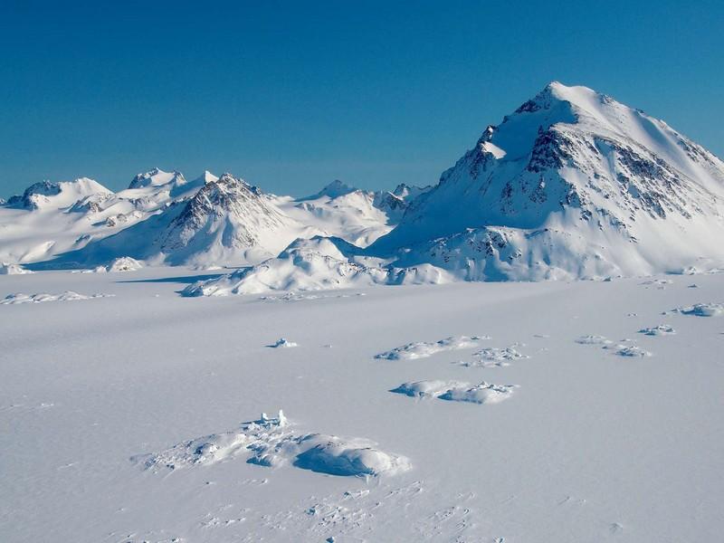 #GROENLAND_RECHAUFFEMENT_CLIMATIQUE_PRESENCE_PLANTES_SOUS_GLACE Stupéfaction chez les scientifiques