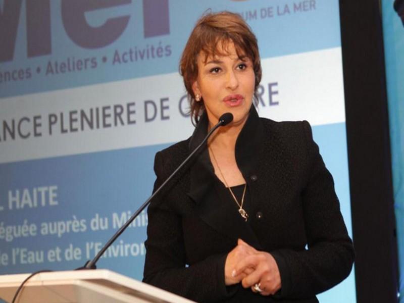 Le Maroc fera de grandes annonces durant la COP 22 (El Haité)