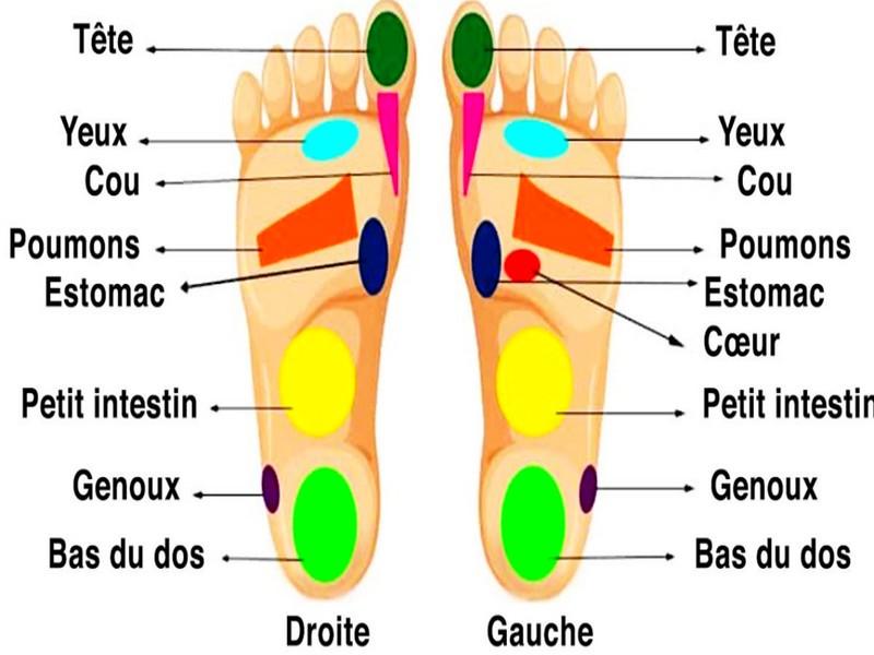 Les pieds sont reliés à tous les organes et chaque douleur peut être soigné en massant les pieds