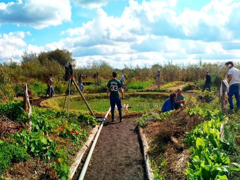 Les petites fermes sont le futur de notre alimentation, protégeons-les !