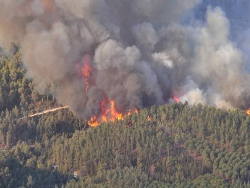 Les incendies de forêts ont baissé de 55% au Maroc