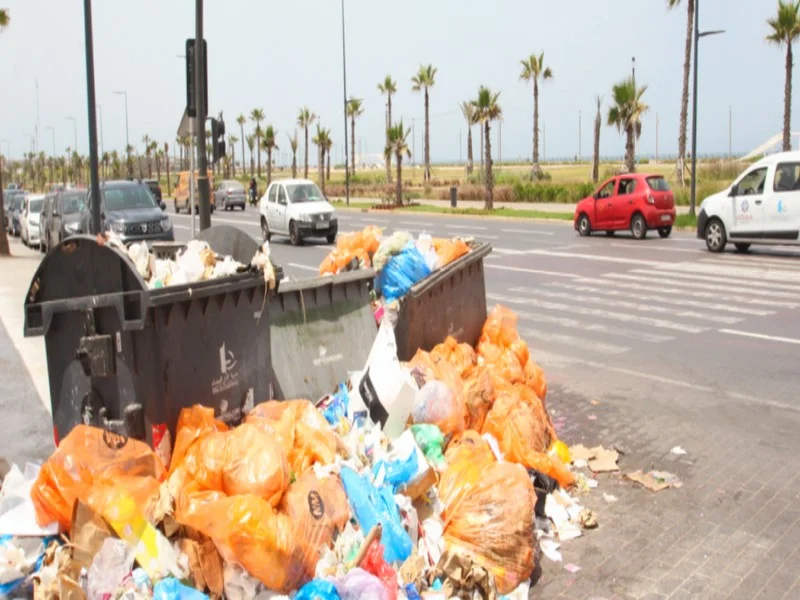 Casablanca croule sous les ordures suite à une grève des éboueurs 