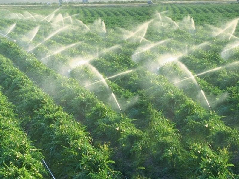 Irrigation: les performances des exploitations agricoles sous la loupe