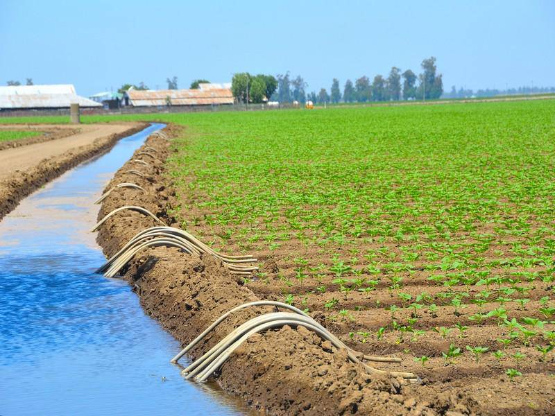 Activité économique : Agriculture, tourisme et textile en mauvaise posture