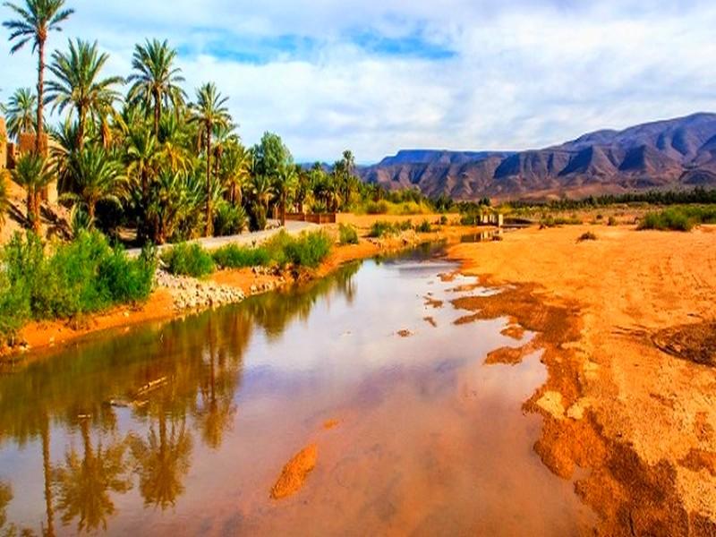 Journée d’étude sur le développement durable des oasis